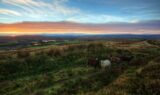 An ancestral site in Ireland