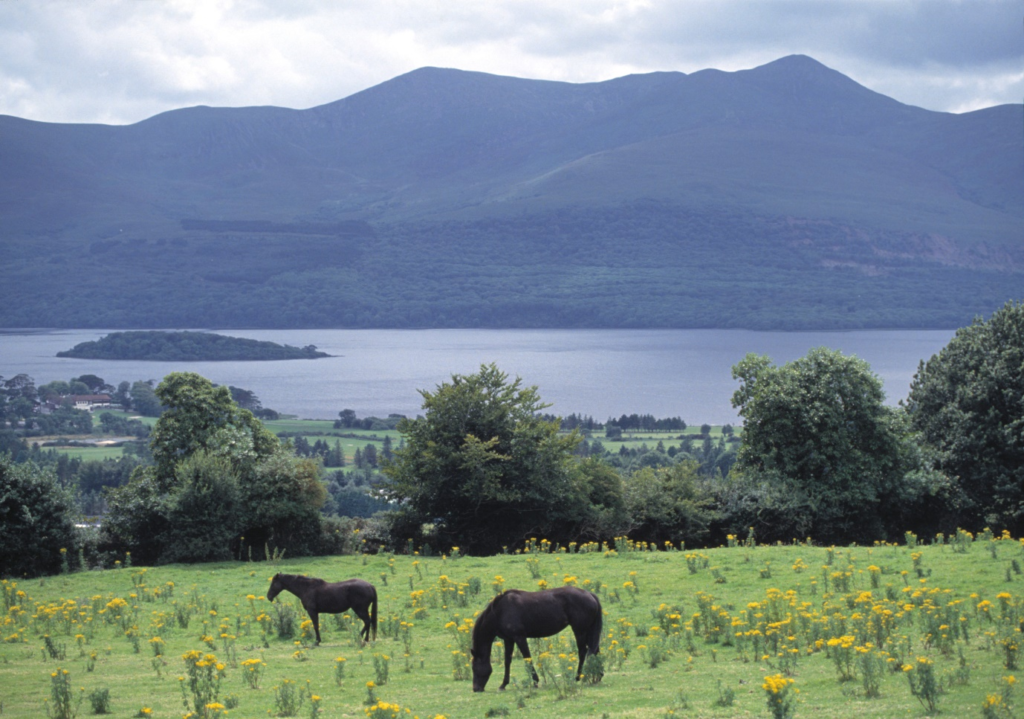 Aghadoe, Killarney