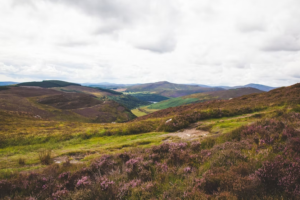 Rolling hills in County Wicklow