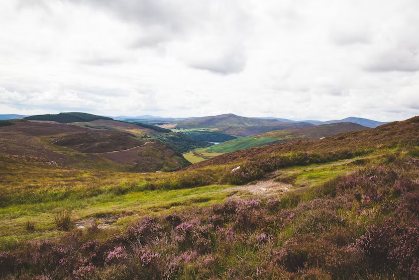 Rolling hills in County Wicklow
