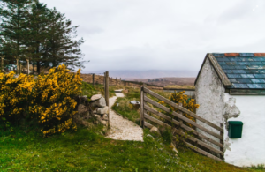 Cottage in the Irish countryside
