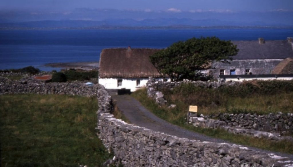 Original homestead located through genealogy research in Ireland.
