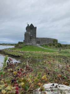 A historic Irish castle.