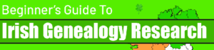 Beginner’s Guide To Irish Genealogy Research-INFOGRAPHIC
