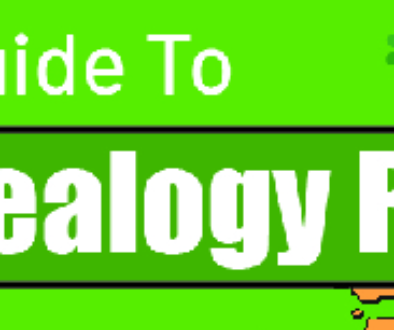 Beginner’s Guide To Irish Genealogy Research-INFOGRAPHIC