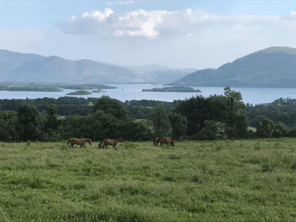 Place to visit during the Ireland genealogy tour.