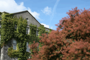 Estate to visit during Ireland self-drive tour.