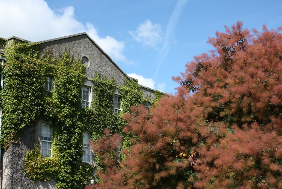 Estate to visit during Irish heritage tour.