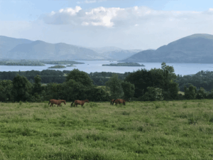 Place to visit when exploring genealogy in Ireland.