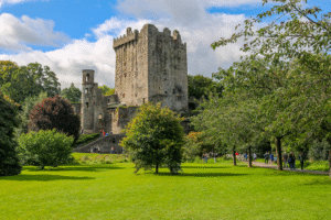 an ancestry tour of Ireland.