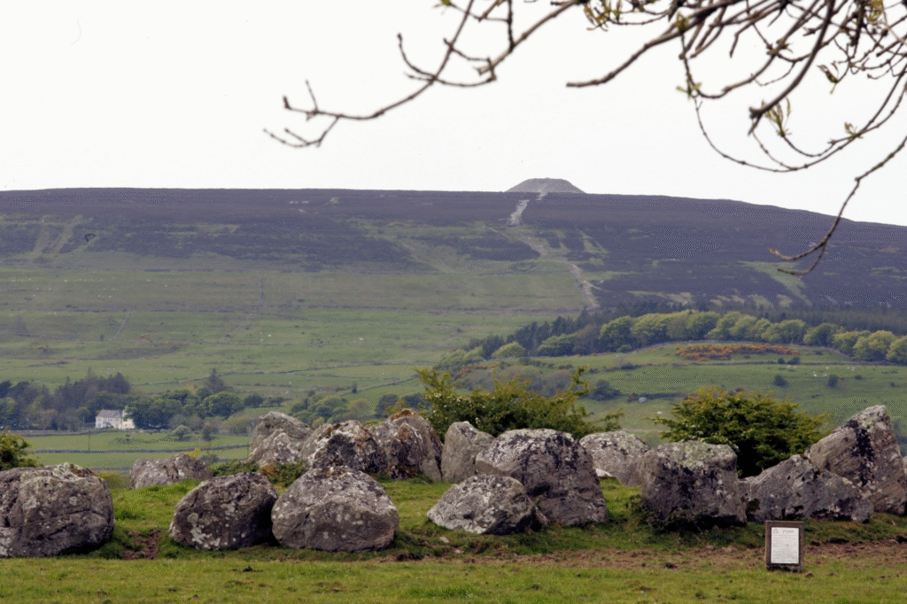 Irish genealogy tours.