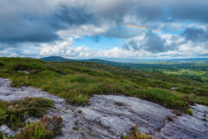 Beautiful Irish grasslands.