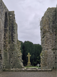 genealogy tour in Ireland.